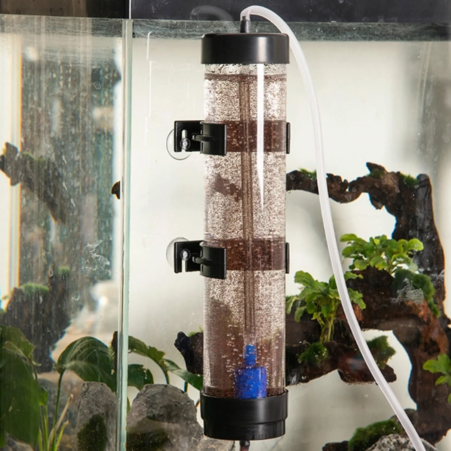 Incubatrice Per Uova Di Gamberetti In Salamoia - Kit Per Incubazione Di Uova Di Artemia Per Acquario, Incubatrice Per Allevamento Di Gambereti Per Acquari | Incubatriice Per Gamberetti Con