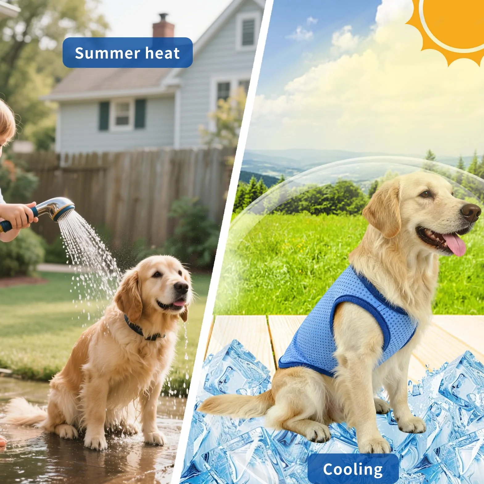 Maglia Refrigerante Cane, Traspirante Gilet Rinfrescante Cane, Fresco e Confortevole Gilet Refrigerante per Cani, Cappotto Rinfrescante Animale, per L'estate, Animali Domestici di Tutte le Taglie (M)