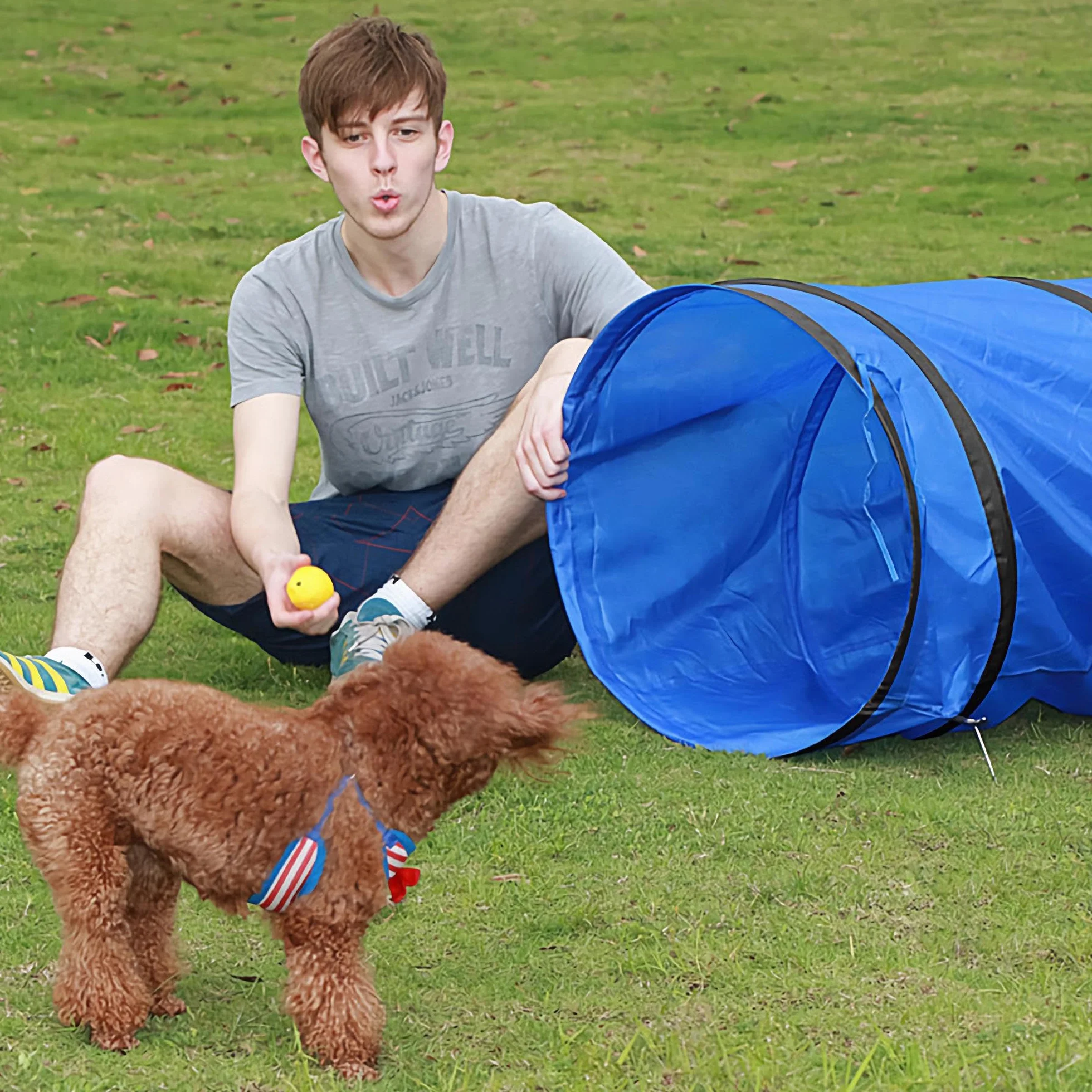 Yaheetech Tunnel per Cani Animali Domestici 546 x 50 cm Pieghevole da Gioco Agility Blu con Borsa da Trasporto Picchetti