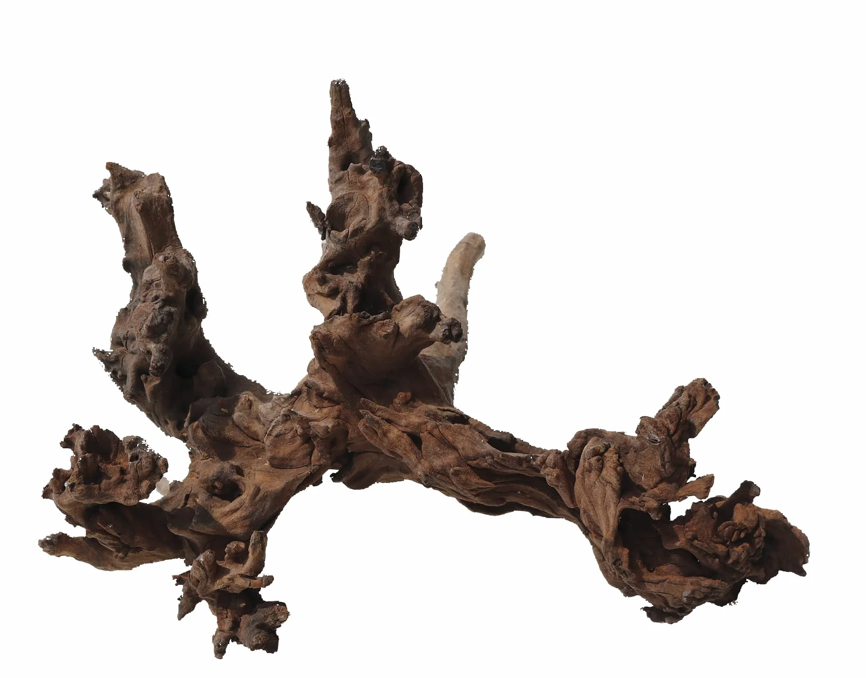 Amtra Legno Mystic Wood - Taglia XL 50-70 cm, Decorazione in Legno Naturale per Acquari, Tronco naturale ornamentale, Accessorio arredo decorativo per Terrari