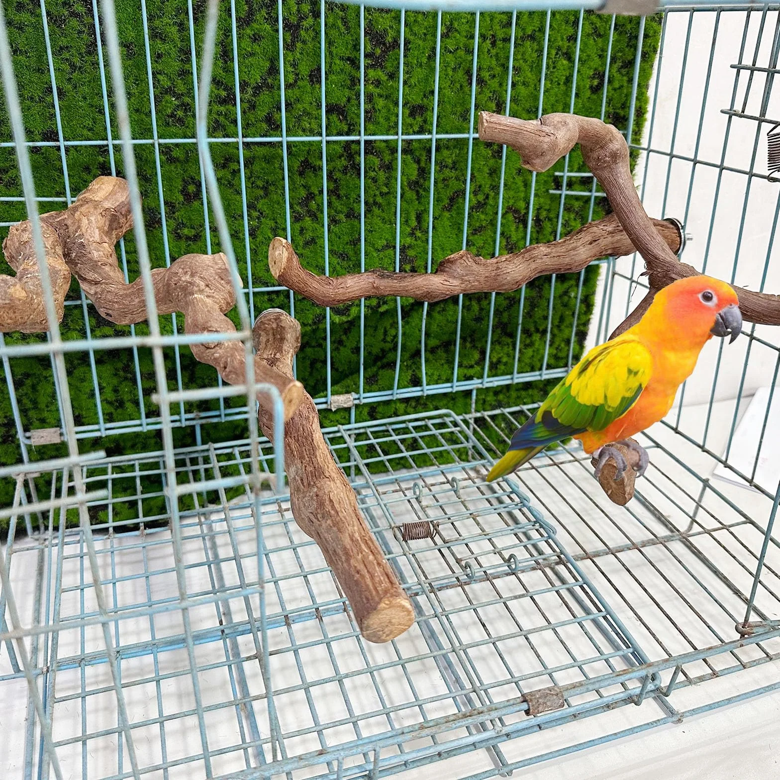 4 Pz Giocattolo per Pappagalli, Ramo D'uva Naturale Giocattolo per Uccelli, Trespolo Posatoio Supporti per Uccelli in Legno Naturale per Piccolo Medi Pappagalli