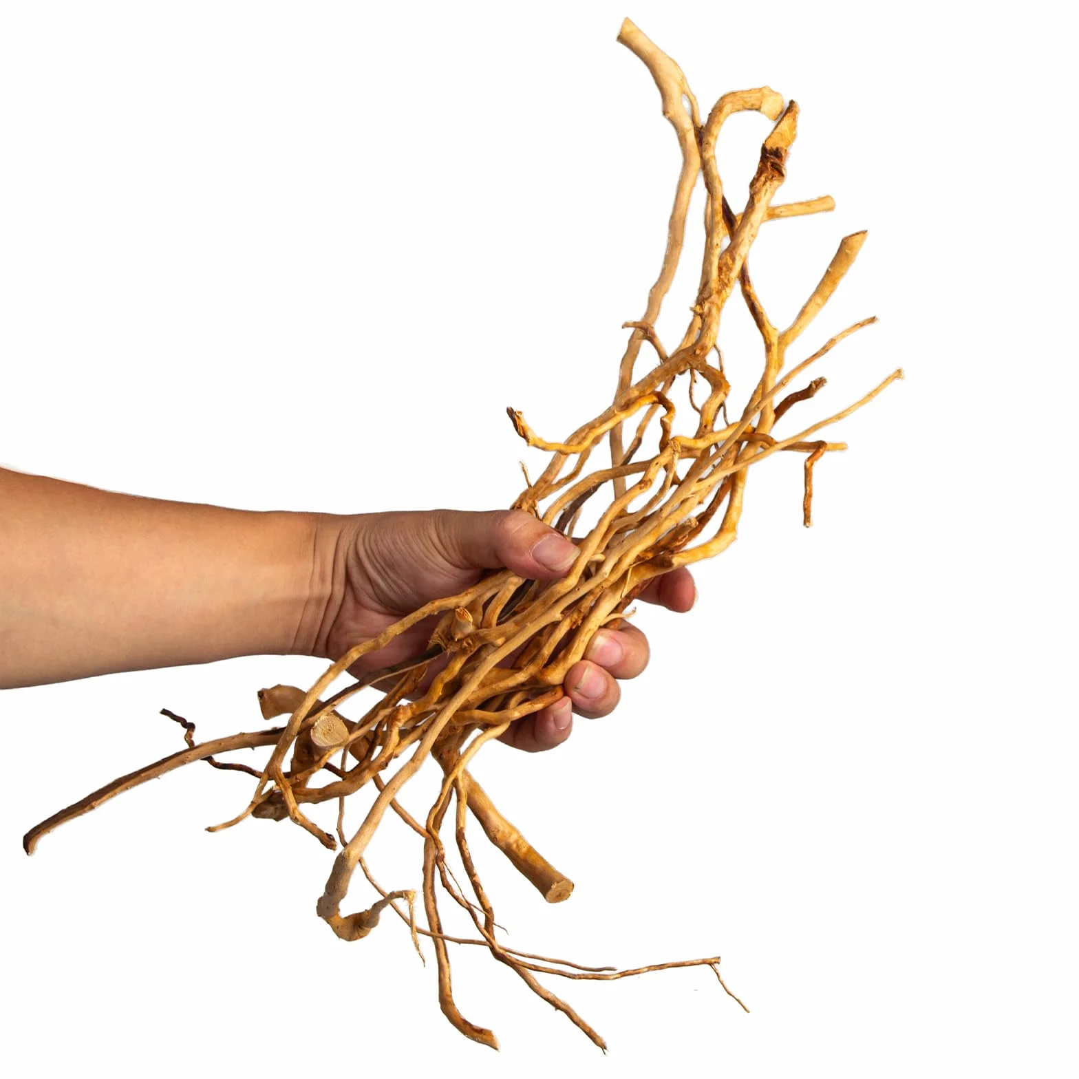 emours - Rami naturali per acquario, [170g] (40–80 cm / 16–32 pollici) - Rami unici di radice/ragno in legno per acquari, vasche con piante e terrari, decorazione per pesci e piante, ogni pezzo unico