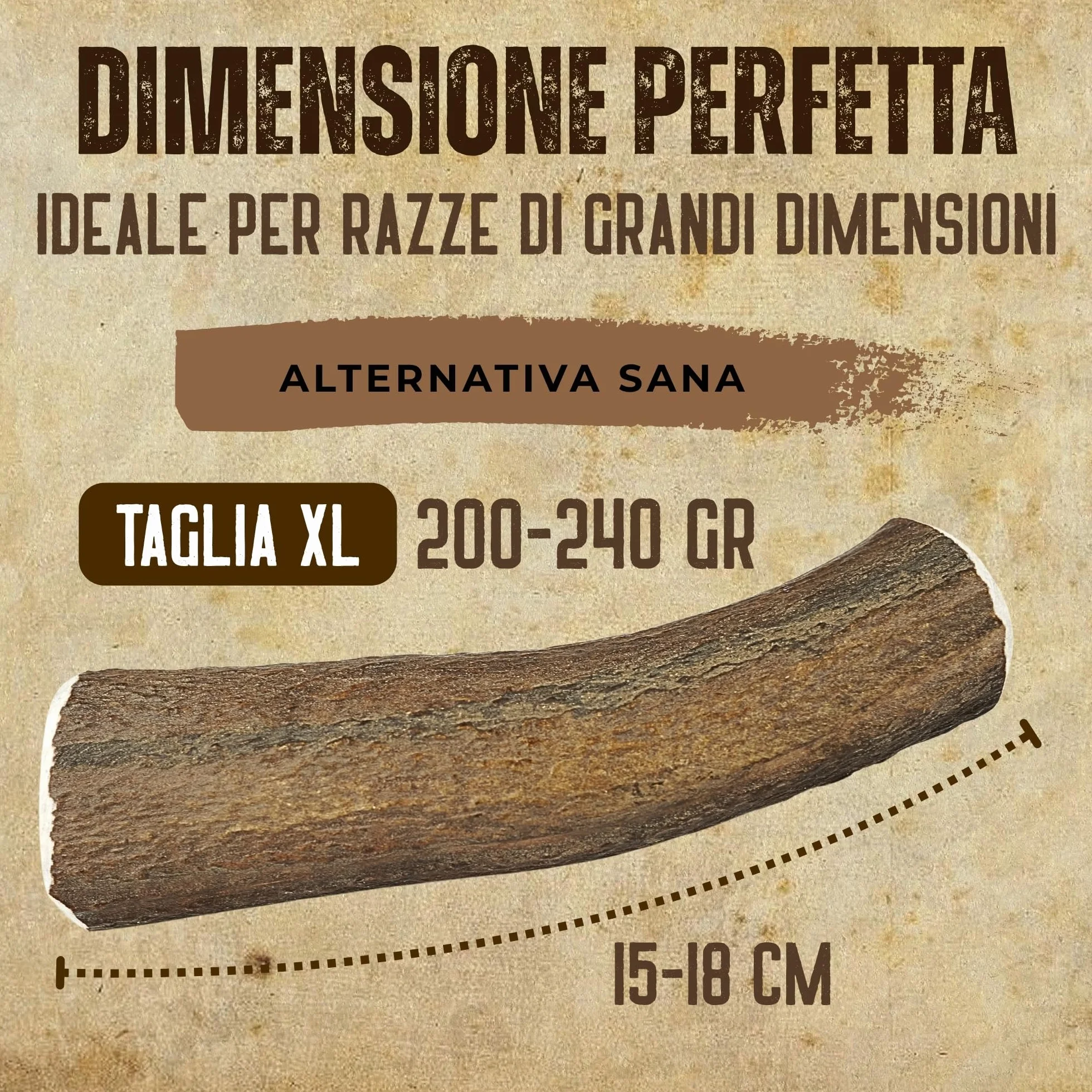 Corno di Cervo Naturale per Cani | Masticatore Dentale Duraturo | Origine Naturale, Senza Additivi | Kira&Gara® (XL - 200-240g, Pack de 1)