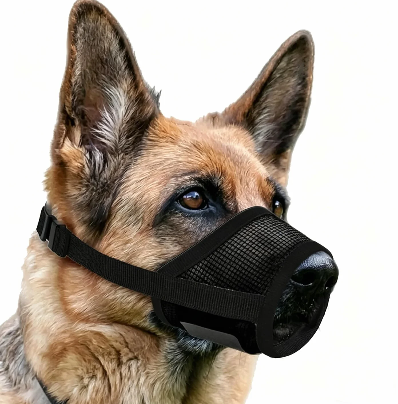 Museruola per Cane, Museruola per Cani in Nylon,Morbido Rete Traspirante Museruole per Cani,Museruolas Cane Regolabile, Protezione Anti-Morso e Anti-Abbai, per Cani di Taglia Piccola Media Grande (M)