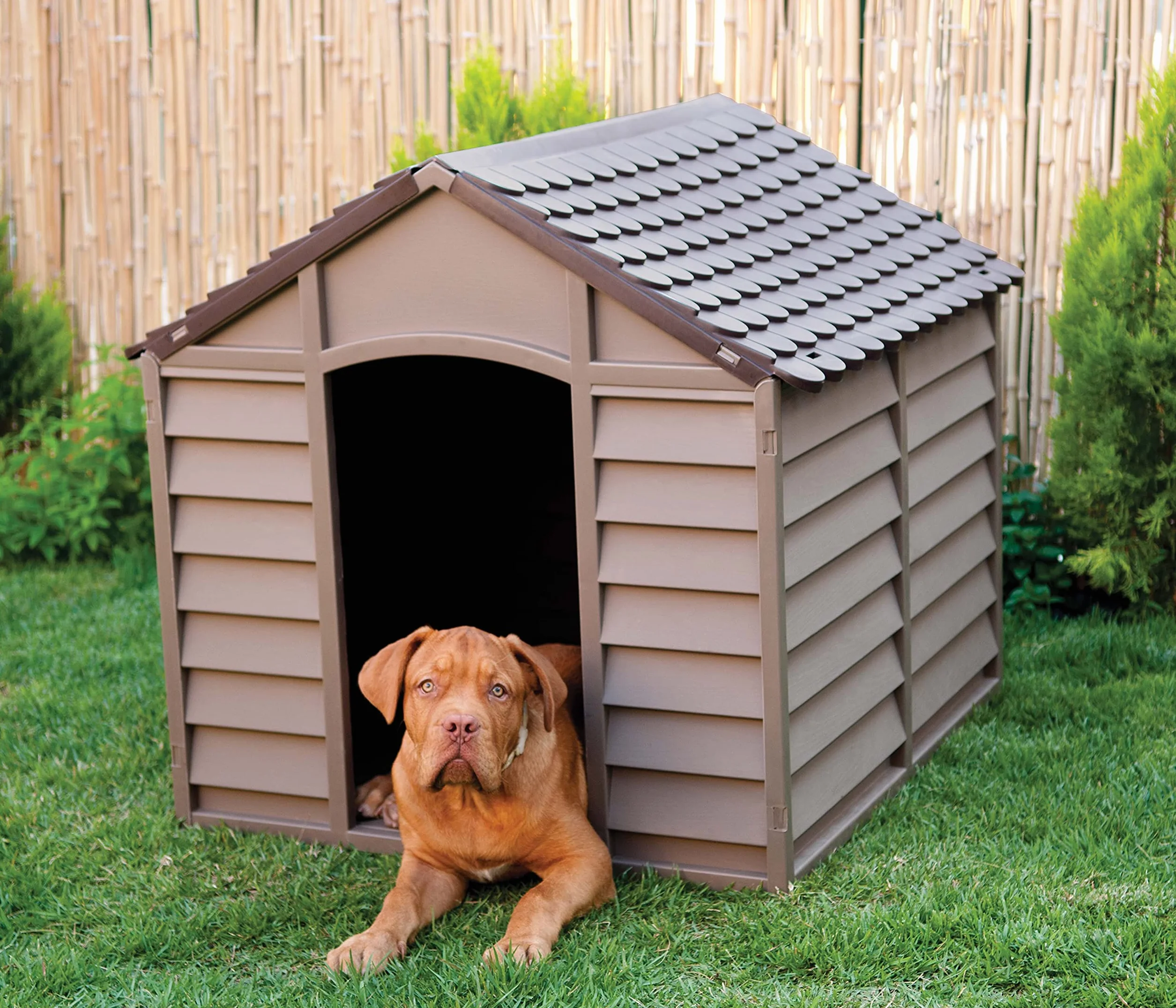 Vigor Cuccia per Cani Dog Kennel