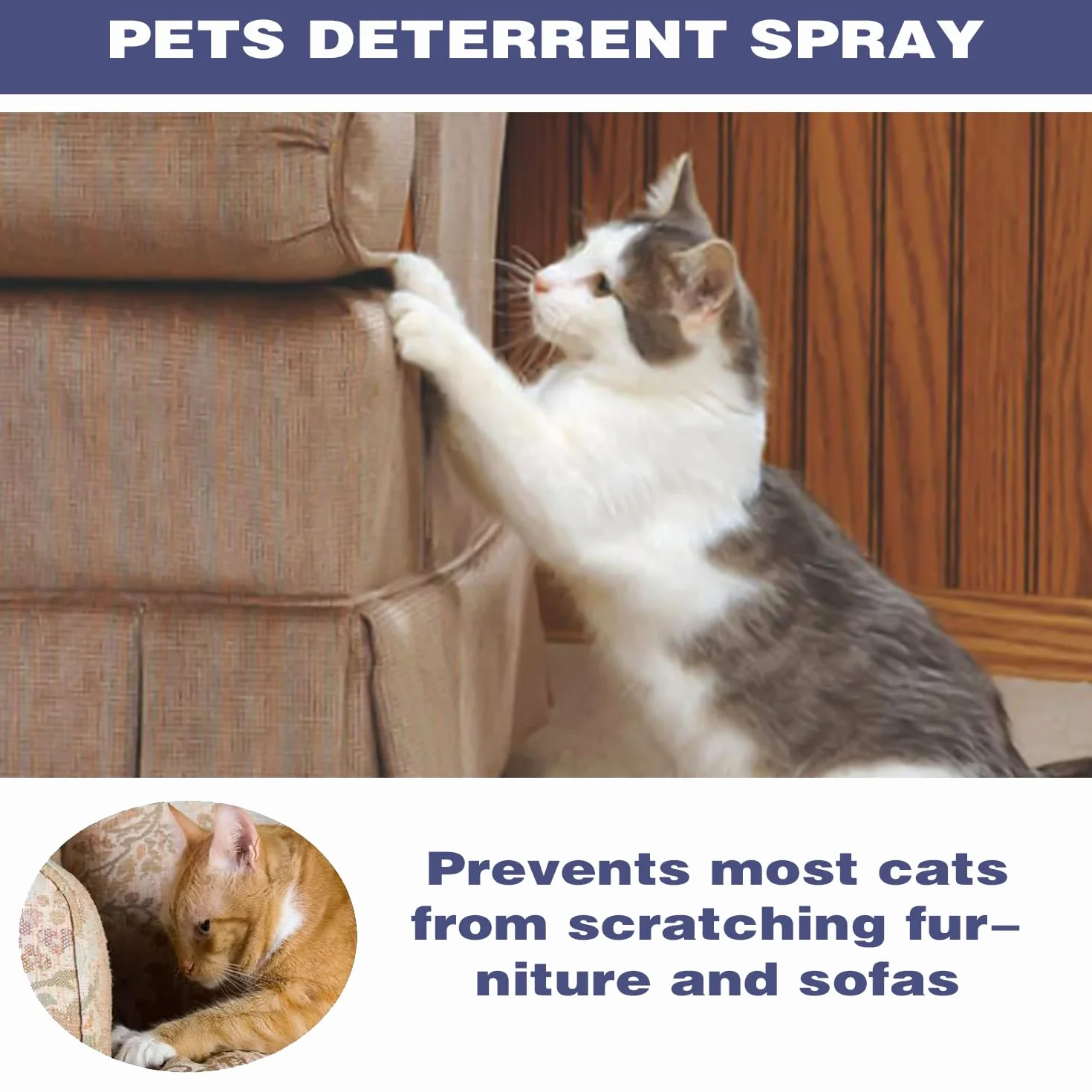 MagiSel Spray AntiGraffio, Spray AntiGraffio Gatto, Spray AntiGraffio Gatti Divano, Protegge i Mobili,Spray Addestrativo per Allenare Il Comportamento degli Animali Domestici,50 ML