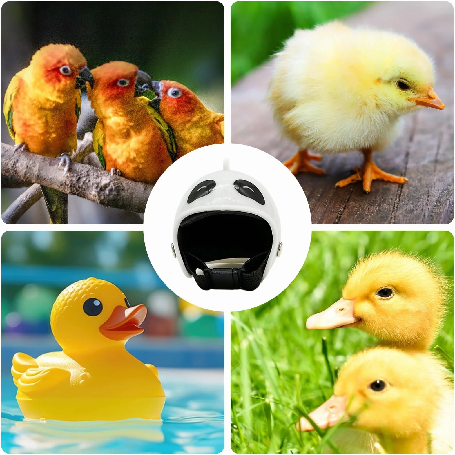 Cappelli di pollo, Cappello di gallina | Cappelli di protezione per uccelli di gallina - Cappelli di Pollo di Sicurezza Regolabili, Protezione Testa Giocattolo di Uccello