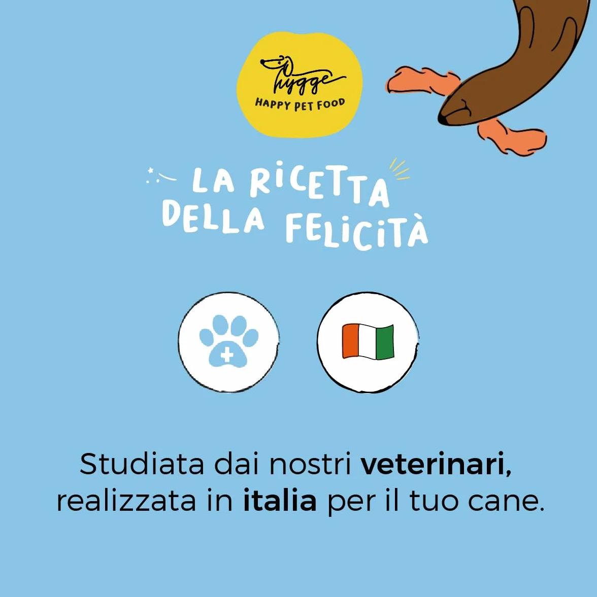 Biscotti per Cani Buonanotte SET X3 | Biscottini 100% Naturali con Camomilla e Valeriana | Snack per Cani ideali per metterli a Dormire, per tutte le taglie ed età | 300 gr. Biscotti Cane Hygge Dog®
