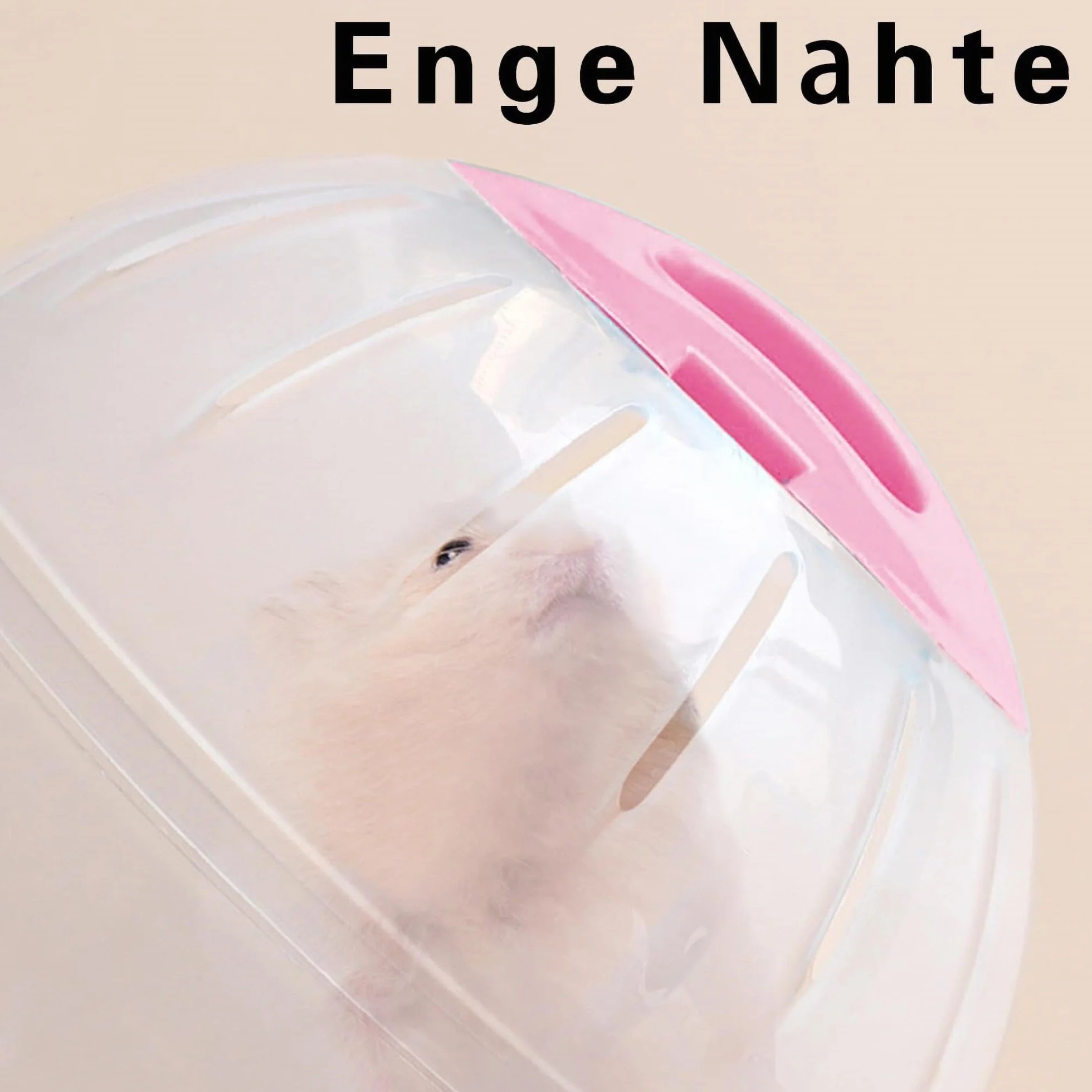 Sfera per Esercizio per Criceti, Palla Rotonda per Animali Domestici, per Roditori e Roditori, in Plastica, 14.5cm/5.71inch (Rosa)
