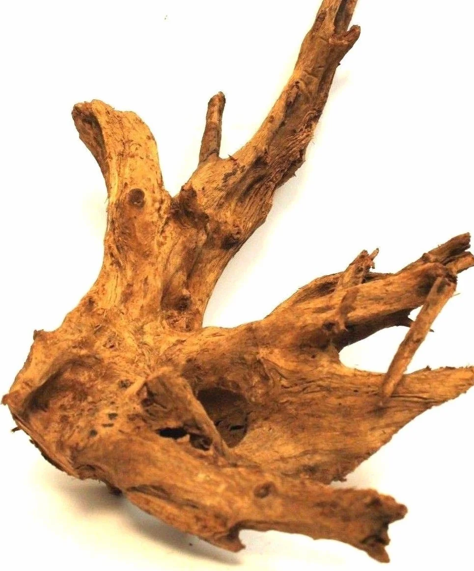 Wohnkult Radice di mangrovia XL 60-45 cm Decorazione per Acquario Radice Legno Mangrovia