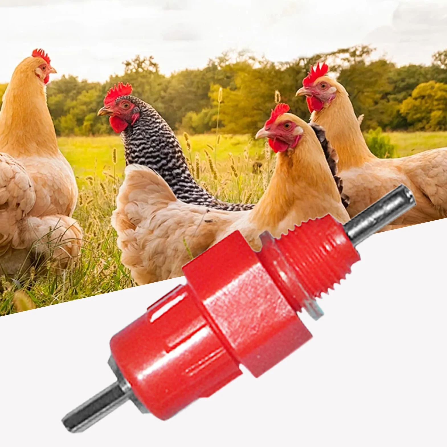 Abbeveratoio A Beccuccio Per Pollame - Capezzolo Per Acqua Per Galline,Fontana Bere Automatica Inossidabile Portatile Per Gabbie Uccelli Capre Conigli Paperi Polli Inverno Giardino