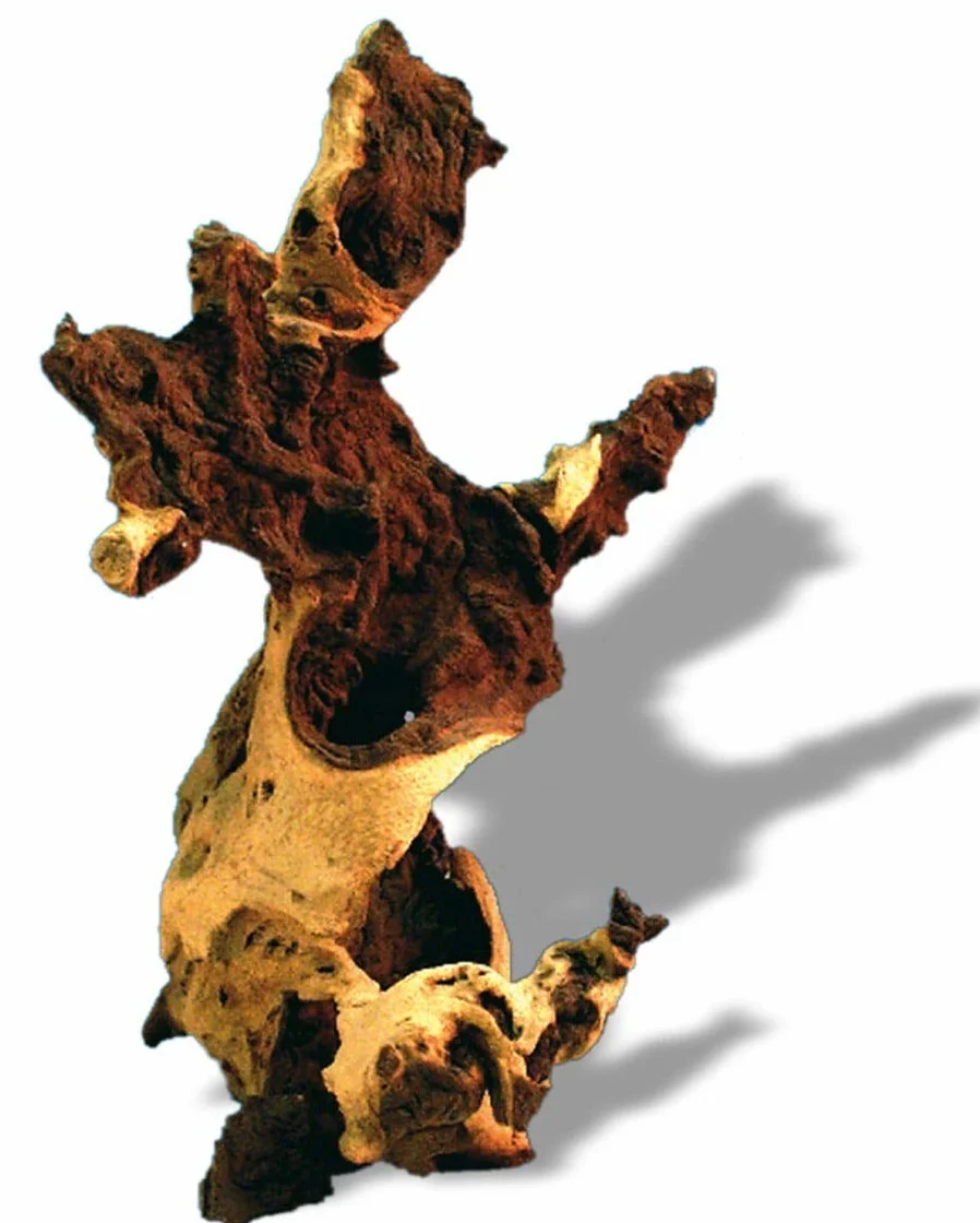 Amtra Legno Mopani - Taglia S 15-30 cm, Decorazione in Legno Naturale per Acquari, Tronco naturale ornamentale, Accessorio arredo decorativo per Terrari