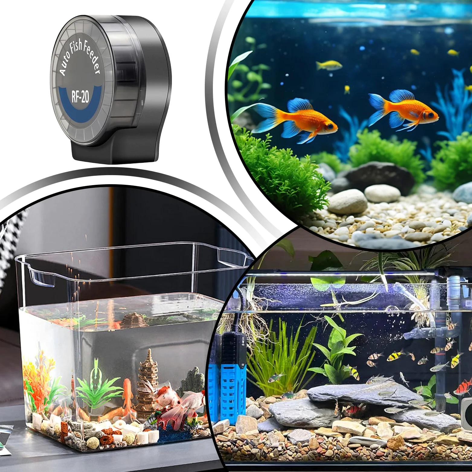 Alimentatore Automatico Per Acquario 6 Timer Alimentatore Automatico per | Alimentatore per Pesci Programmabile per Tartarughe Betta Axolotl Gamberi Acqua Dolce e Salata